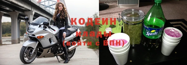 ГАЛЛЮЦИНОГЕННЫЕ ГРИБЫ Лагань