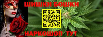 гашик Гагарин