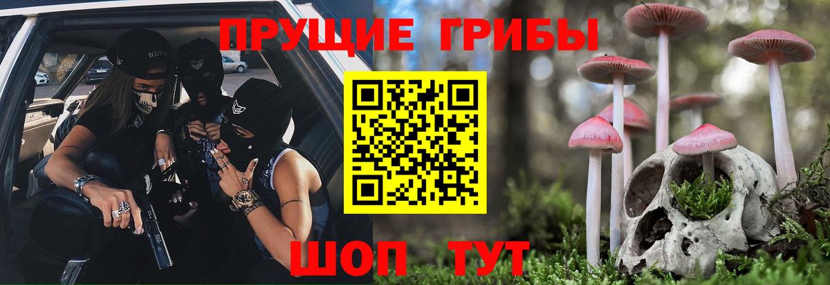 Псилоцибиновые грибы GOLDEN TEACHER  Вход с VPN  Первоуральск 